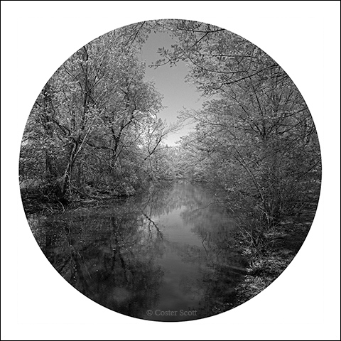 Coster Scott, Untitled (Olmsted) 40" x 40" silver gelatin print.