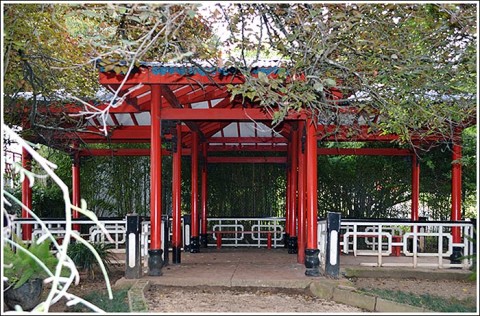 Jardim Botanico Tropical